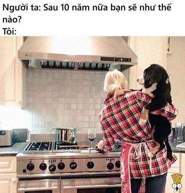 Loạt ảnh hài hước về nỗi lòng của những người yêu thú cưng hơn trẻ em Loạt ảnh hài hước về nỗi lòng của những người yêu thú cưng hơn trẻ em