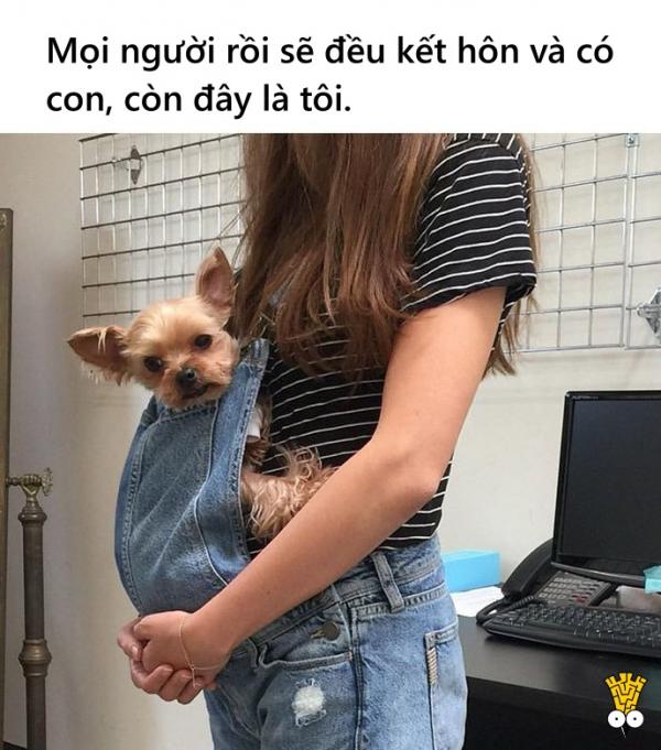 Loạt ảnh hài hước về nỗi lòng của những người yêu thú cưng hơn trẻ em Loạt ảnh hài hước về nỗi lòng của những người yêu thú cưng hơn trẻ em
