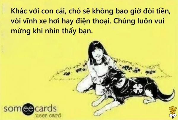 Loạt ảnh hài hước về nỗi lòng của những người yêu thú cưng hơn trẻ em Loạt ảnh hài hước về nỗi lòng của những người yêu thú cưng hơn trẻ em