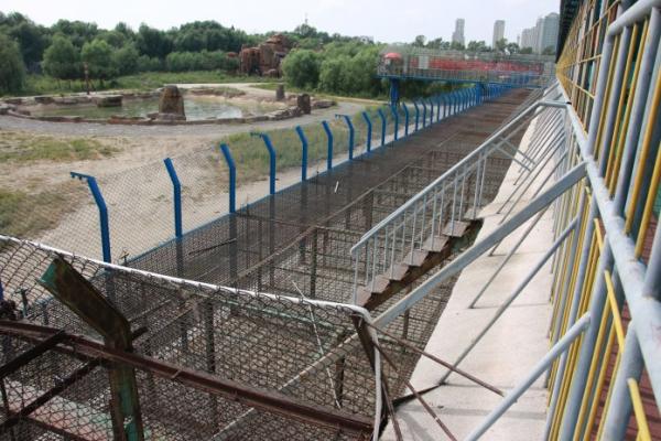 Hổ và sư tử ở Nam Phi được nuôi rồi giết để làm thuốc bán sang Trung Quốc Hổ và sư tử ở Nam Phi được nuôi rồi giết để làm thuốc bán sang Trung Quốc