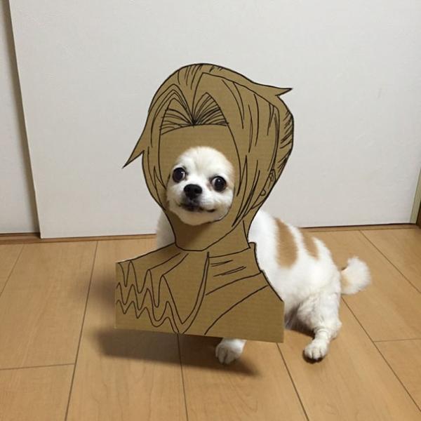 Khi ‘sen’ khiến ‘boss’ đáng yêu hơn với loạt hình cosplay cùng bìa các tông Khi ‘sen’ khiến ‘boss’ đáng yêu hơn với loạt hình cosplay cùng bìa các tông