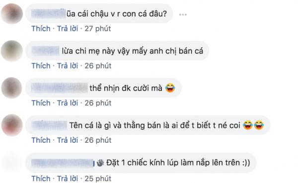 Chuyện đi mua cá cảnh online và cái kết khiến ai cũng 'cười không nhặt được mồm' Chuyện đi mua cá cảnh online và cái kết khiến ai cũng 'cười không nhặt được mồm'