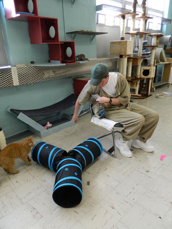 inmates pet rehabilitation pendleton correctional facility forward 13