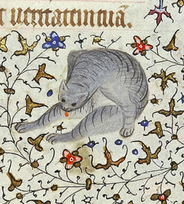 cats medieval art13