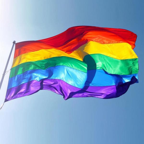 hot sale rainbow flag 3x5ft 90x150cm lesbian gay pride polyester lgbt flag banner polyester colorful rainbow 1024x1024