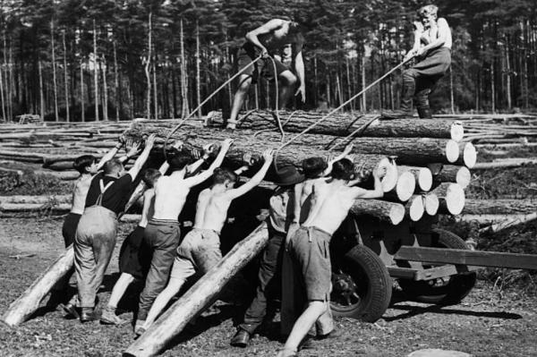 lumberjacks