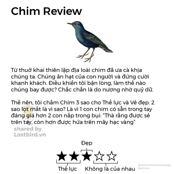 lostbird vn review 02