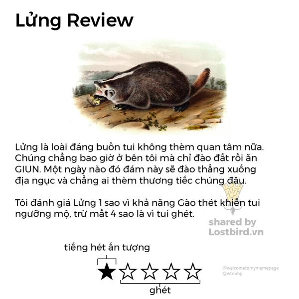 lostbird vn review 04