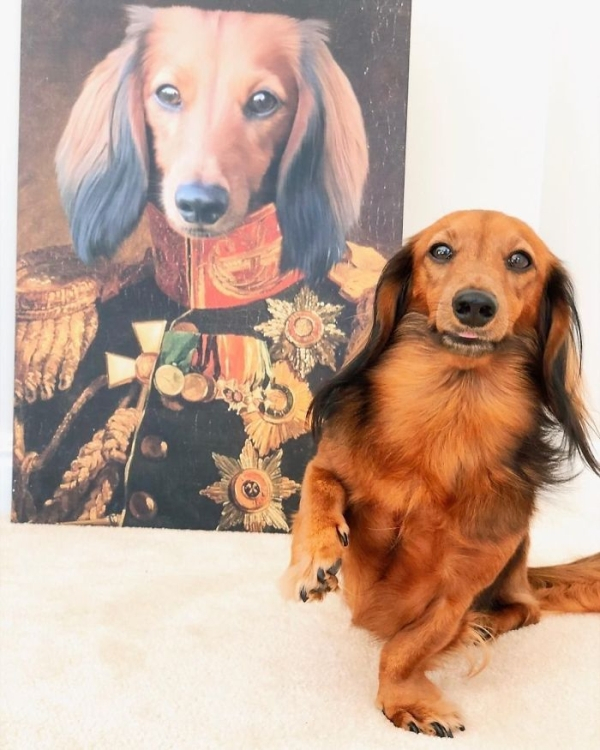 animal royalty paintings pets 21