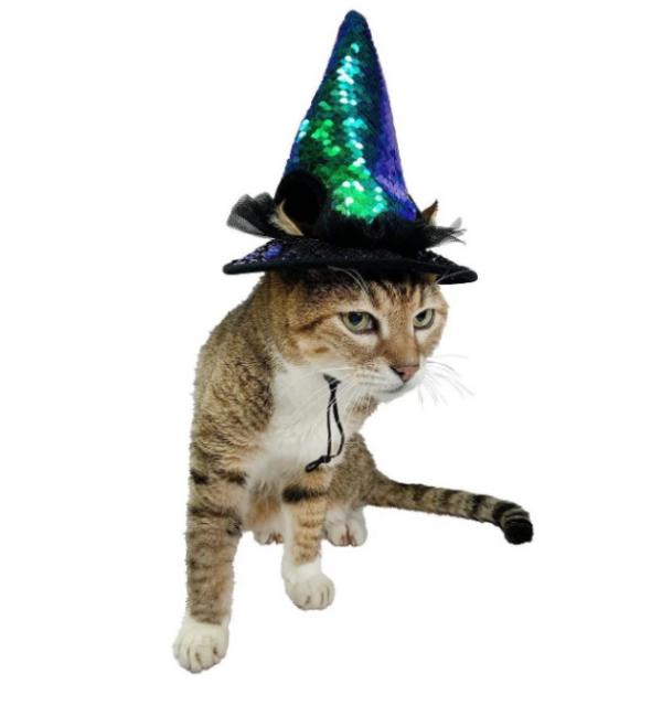 witch head cat costume hyde eek boutique target 9 25 2019 10 53 21 am 632x675